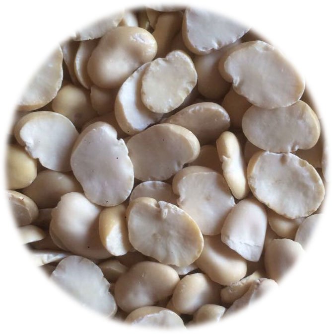 تصدير وتوريد فول مجروش من شركة الاصيل