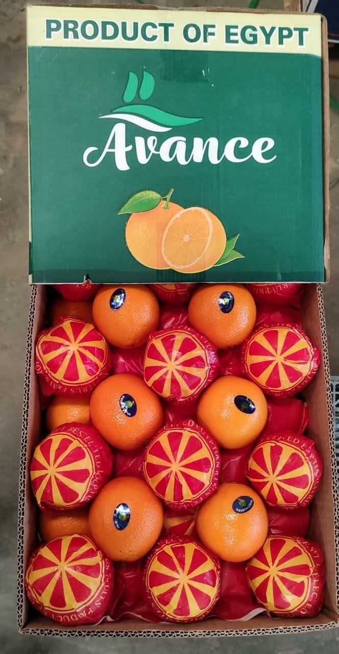 تصدير برتقال مصري – Egyptian Orange
